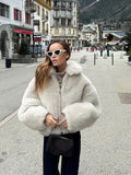 PICSGIRL  -  Warm Thick Zipper Lapel Pocket Faux Fox Fur Coat Women's Long Sleeved Fluffy Jacket 2024 Winter Lady High Street Outercoat