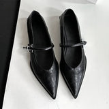 PICSGIRL  -  Sexy Pointed Toe Soft Leather Women Shoes Noveity Metal Buckle Design Mary Jane Shoes for Women Elegant Square Heel Dress Shoes